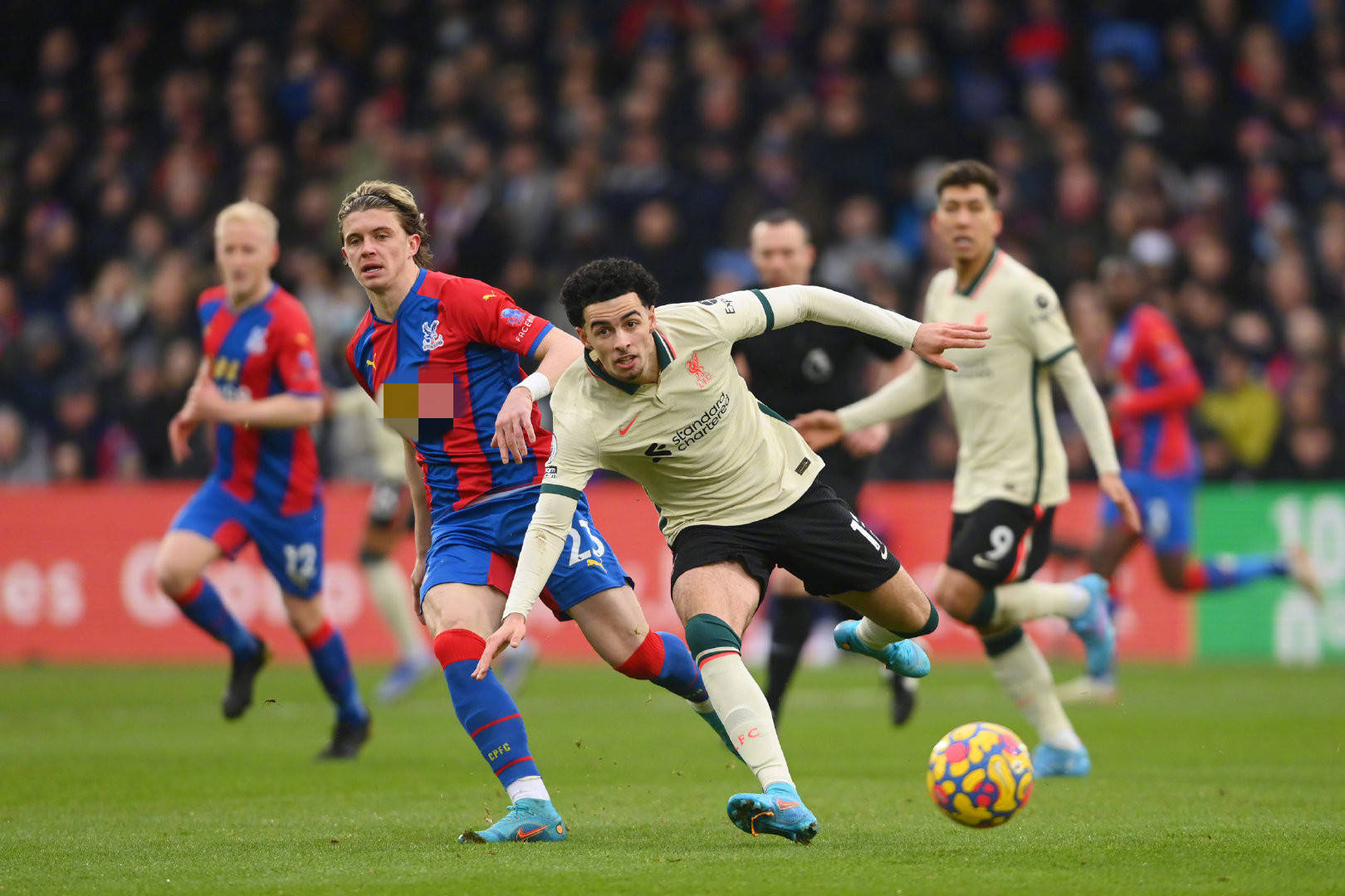 加之俱乐部 加之俱乐部